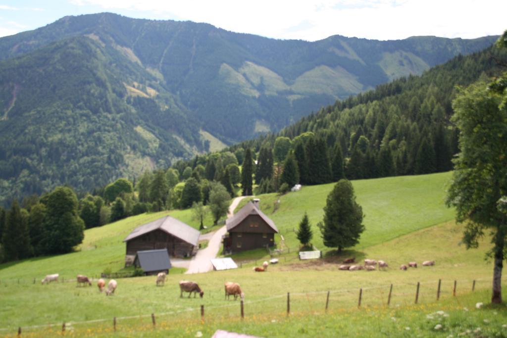 Ferienhaus Stoiser Pruggern Exterior foto